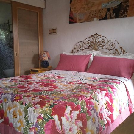 Bed and Breakfast Poggio Del Sole Bassano del Grappa Zewnętrze zdjęcie