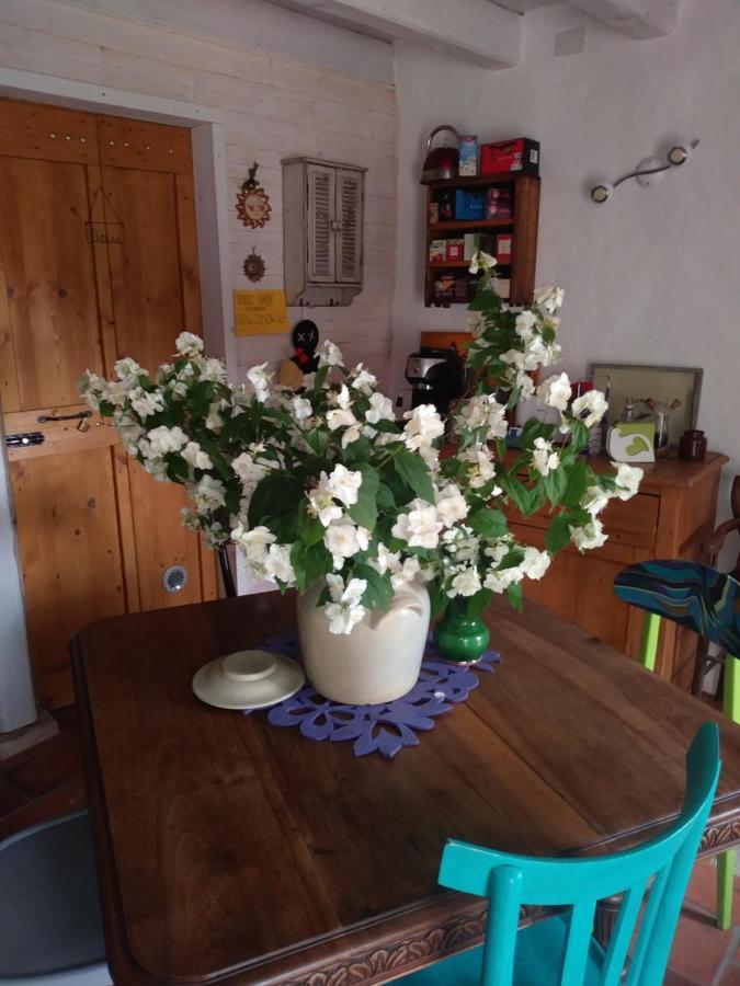 Bed and Breakfast Poggio Del Sole Bassano del Grappa Zewnętrze zdjęcie