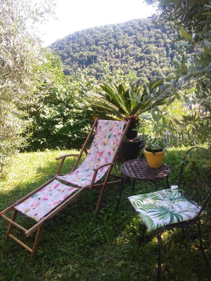 Bed and Breakfast Poggio Del Sole Bassano del Grappa Zewnętrze zdjęcie
